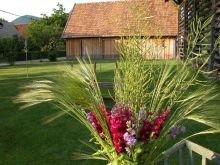 Najem vrta Škrabčeve domačije